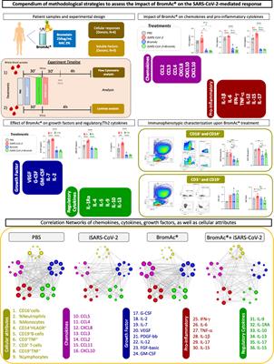 Taming the SARS-CoV-2-mediated proinflammatory response with BromAc®